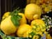 Gigantic Lemons